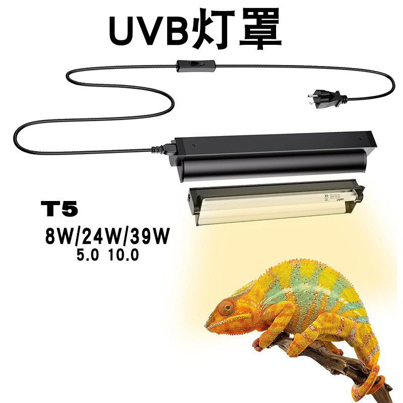 Calcium Powder Reptile - T5 UVB Tüp Entegre Armatürlü Cam